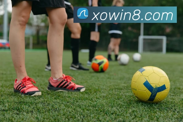 星欧娱乐官网发展历程